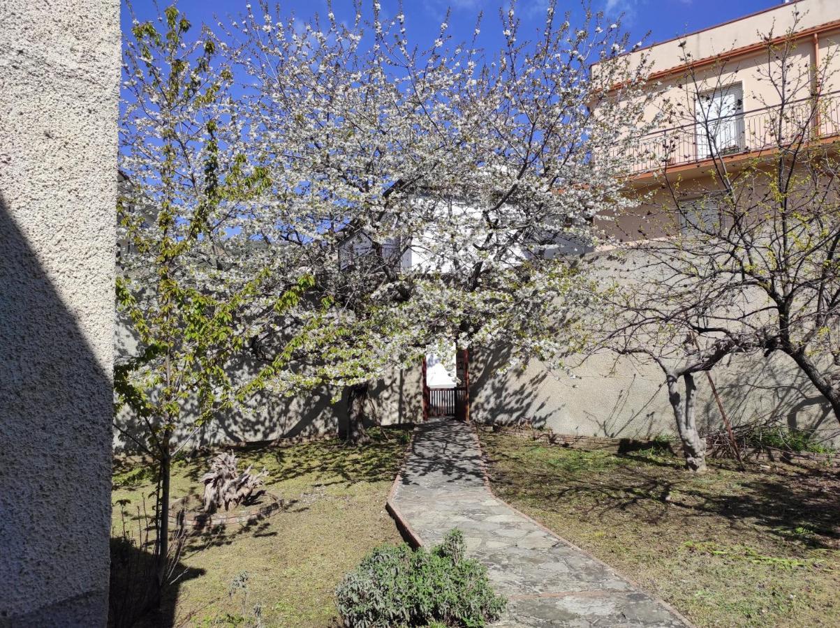 Bed and Breakfast Antica Dimora Palazzo Rovitti à Cerchiara di Calabria Extérieur photo